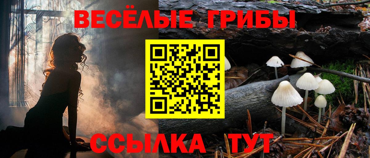 Галлюциногенные грибы Psilocybine cubensis Арзамас