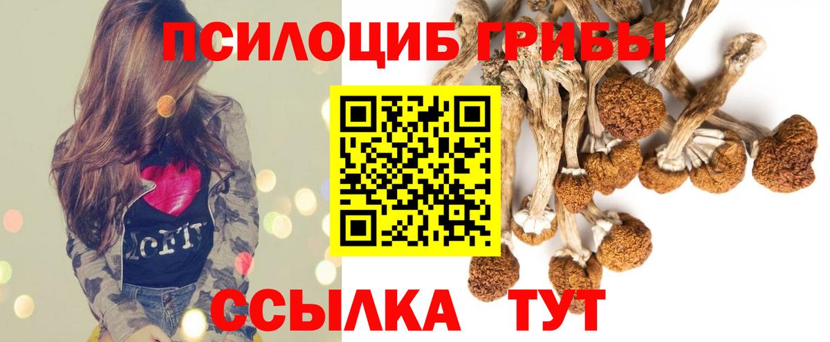 Псилоцибиновые грибы Cubensis  Вход с VPN  Арзамас 